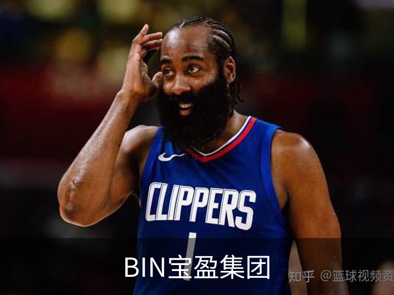 BIN宝盈集团概况