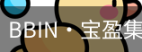 BIN宝盈集团